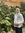 Mariam Alateyah | 2 comments