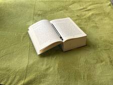 حيَّثُ  هَاجار  .