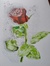 Neale 