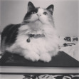 Athena