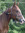 Abby | 20 comments
