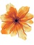 Esme