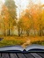 Ethereal Canvas