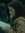 Skye