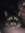 Kat
