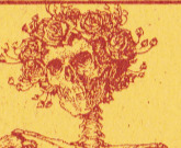 Léo Bérubé