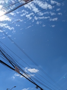 শুভ্র  দেবনাথ (কৃষ্ণা) 