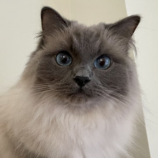 Lucy
