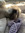 Hester (dfw_hest3rr) | 4 comments