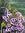 Janet | 7 comments