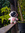 member photo member photo