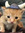 bunny rappit