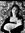 Elif Aydogan