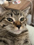 Rylee W...