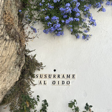 Noe