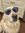 Apple_Sauce :) | 6 comments