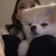 isabelle