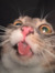 Rianne ...