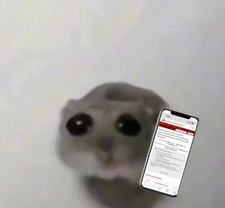 Em
