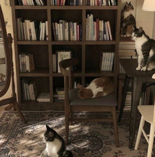 أريام إبراهيم