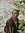 Dionysus (not_the_greek_god) | 25 comments