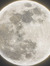 140998755