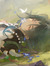 ashe