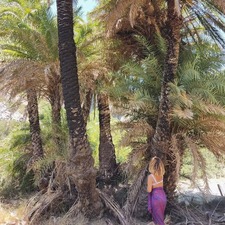 Κωνσταντίνα Χουρσαλά