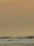 zen