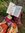 The Book Hippie | 7 comments