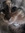Caden Stockwell | 1 comments
