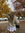 Brianna Grace | 5 comments