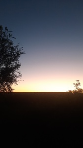 ‎‧₊˚✧Sam ✧˚₊‧