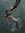 Flo ྀིྀི | 14 comments