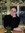 Quirine | 1 comments