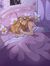 klara ⋆˚࿔