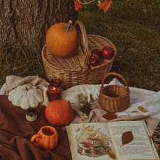 &#x1d402;&#x1d41a;&#x1d425;&#x1d426;, &#x1d41c;&#x1d428;&#x1d433;&#x1d432; &#x1d425;&#x1d422;&#x1d42f;&#x1d422;&#x1d427;&#x1d420;  ✶ • &#x1f342; cozy seasonal goodness
