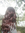 evaline