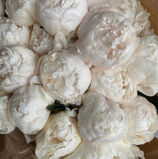 heather &#x1065a;&#x1f9f8;ྀི