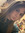 ౨୧˚ bri ⟡.• | 1 comments