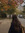 Nishtha