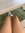ೃ࿔ amarah ༄ (amarahdabooknerd) | 5 comments