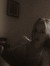 Alessia
