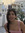 Aroosha (arooshaaf) | 14 comments