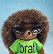 Julia ⋆。°✩ Shipton