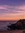 Pat Cray-Hollis | 65 comments