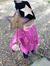 Meyah C