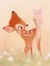 Fawn