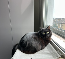 Annabelle Seaton-Cooper