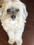 Annie